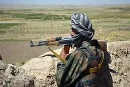 تله‌ طالبان 