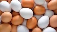 قیمت تخم مرغ در 7 خرداد | ارزانی تخم مرغ در بازار | قیمت هر شانه تخم مرغ چند؟