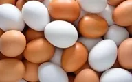 قیمت تخم مرغ در 7 خرداد | ارزانی تخم مرغ در بازار | قیمت هر شانه تخم مرغ چند؟