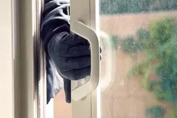 نامه جالب سارقی که آلبوم عروسی زوج جوان را بازگرداند!