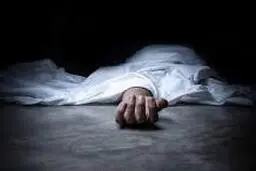 مادری پسربچه اش را با ضربات آجر کشت