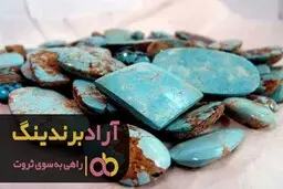 من با تلاش فراوان به موفقیت رسیدم