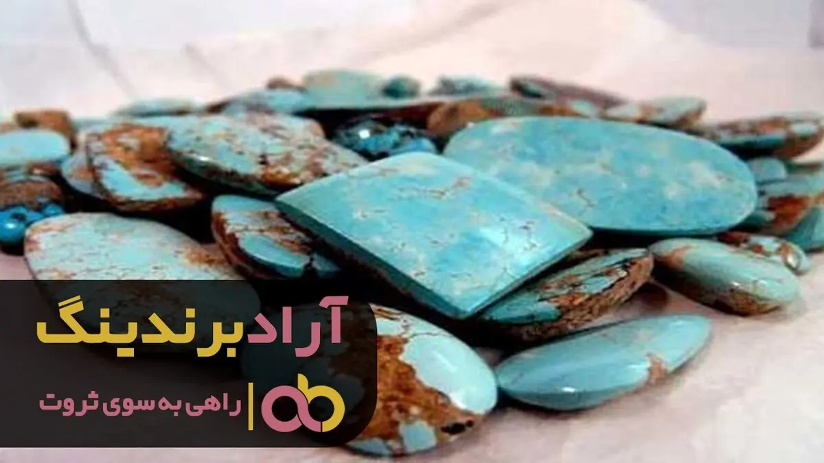 من با تلاش فراوان به موفقیت رسیدم