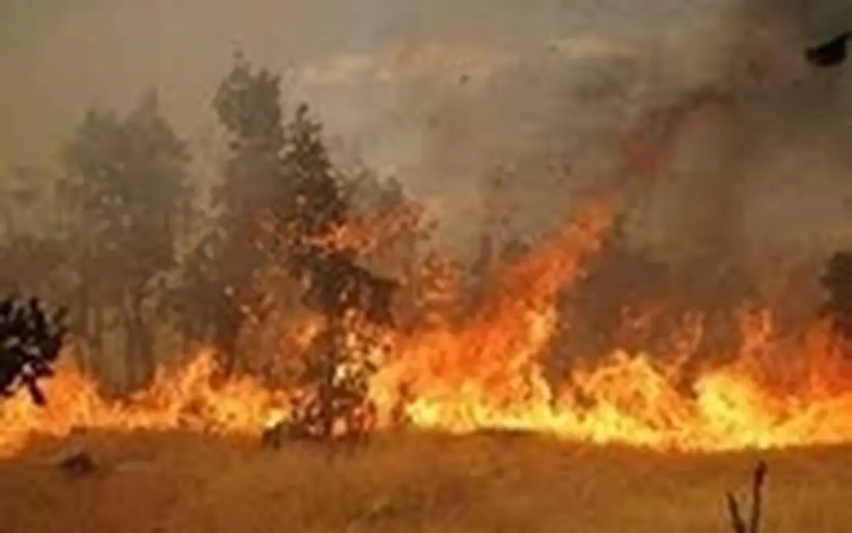آتش‌سوزی شبه جزیره میانکاله مهار شد