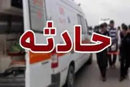 ذغال سنگ هجدک  | اسامی معدن‌کاران فوت شده اعلام شد