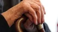 ایران، دومین کشوری که با شیبی تند به سوی سالمندی می رود | تکمیل پیش‌نویس لایحه حمایت از سالمندان