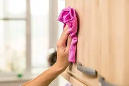 میدونستی حشرات توی قرنیزها لونه درست میکنن؟! | چند مکانی که در خانه تکانی به فراموشی سپرده می‌شود!