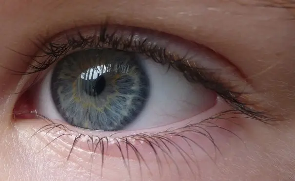 هشدار درباره کیفیت پایین کاغذ کتاب‌های درسی | ضعف بینایی دانش‌آموزان نتیجه بی‌ضابطگی در تخصیص ارز است +ویدئو