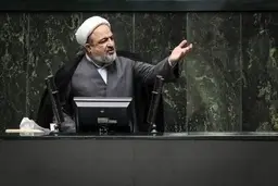 رسایی: فرزند عارف تابعیت دارد