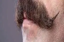 حسین سبیل دراز افتخار کردستان +ویدئو