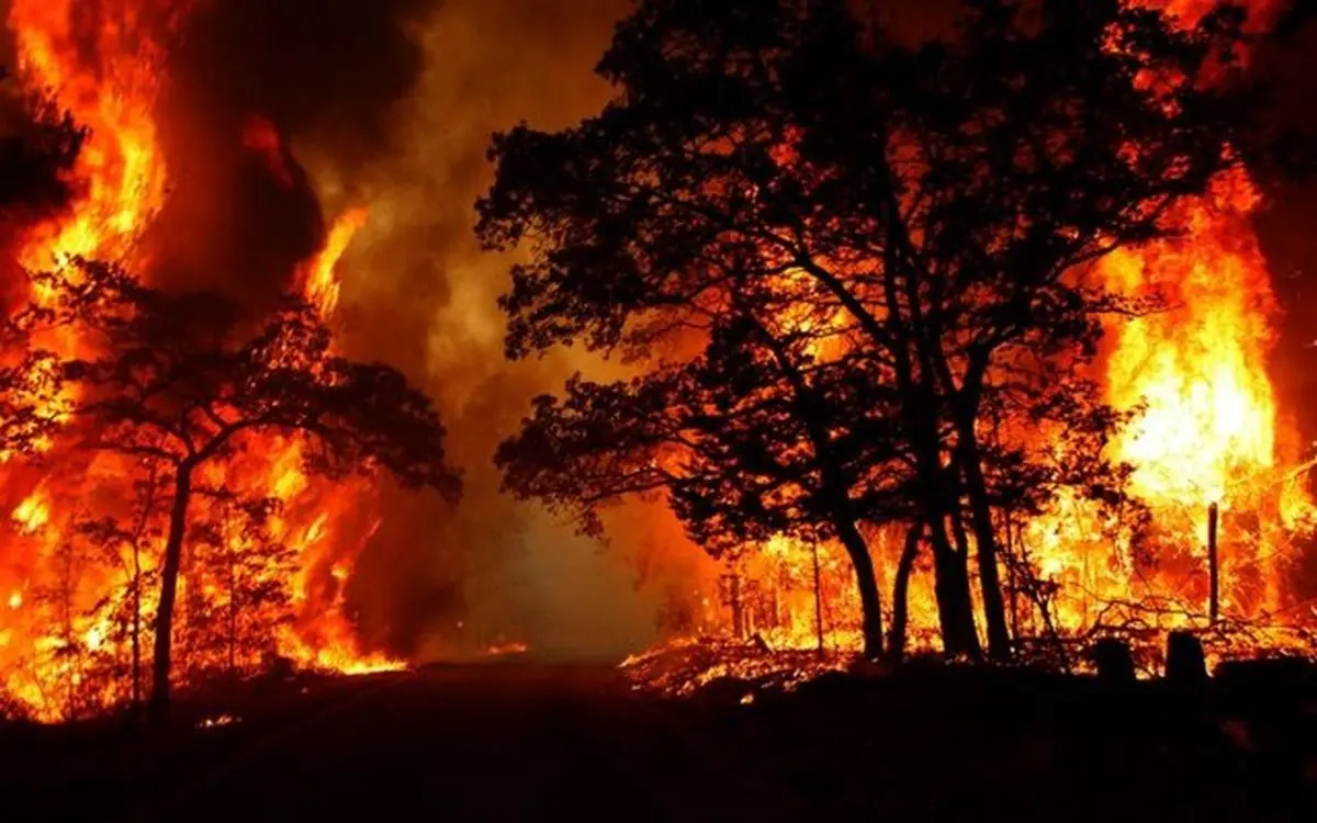 وقوع آتش سوزی‌های گسترده در ایالت کلرادو؛ ۶۰۰ خانه نابود شد 
