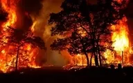 شعله‌های آتش جنگل‌های دنا را فرا گرفت