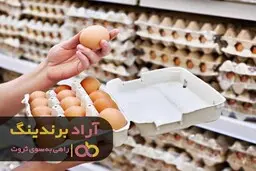همین امروز کسب و کار میلیاردی را شروع کنید 