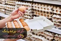 همین امروز کسب و کار میلیاردی را شروع کنید 