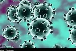 خبر خوش استاندار قم