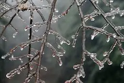 هواشناسی درباره وقوع یخبندان در خراسان جنوبی هشدار داد