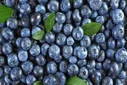 درمان بیماری های عفونی فقط با این میوه خوشمزه