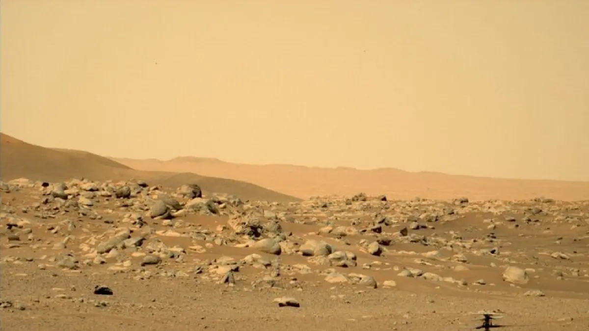 ناسا کل ماموریت مریخ را متوقف کرد 