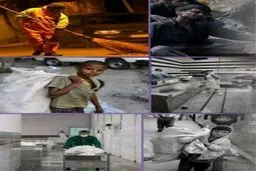 از تولد انسان تا تبلور انسانیت