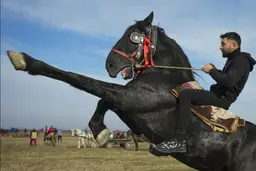 دیدنی های امروز | 18 دی ماه 