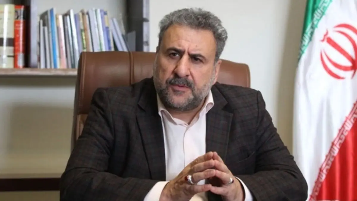 فلاحت پیشه: اگر سازوکاری بین ایران و آمریکا بود، حتما هواپیمای اوکراینی سقوط نمی کرد