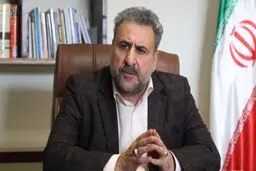 فلاحت پیشه: اگر سازوکاری بین ایران و آمریکا بود، حتما هواپیمای اوکراینی سقوط نمی کرد