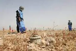زنان عراقی در عملیات مین روبی +عکس