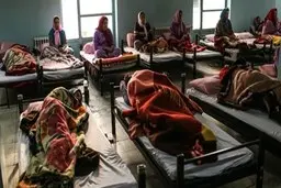 کارتن‌خواب‌ها حتی مدارک هویتی ندارند 
