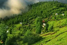 سفر به مازیچال؛ سرزمین اقیانوس ابرها | مازیچال کجاست؟ سفری به بهشت پنهان ایران