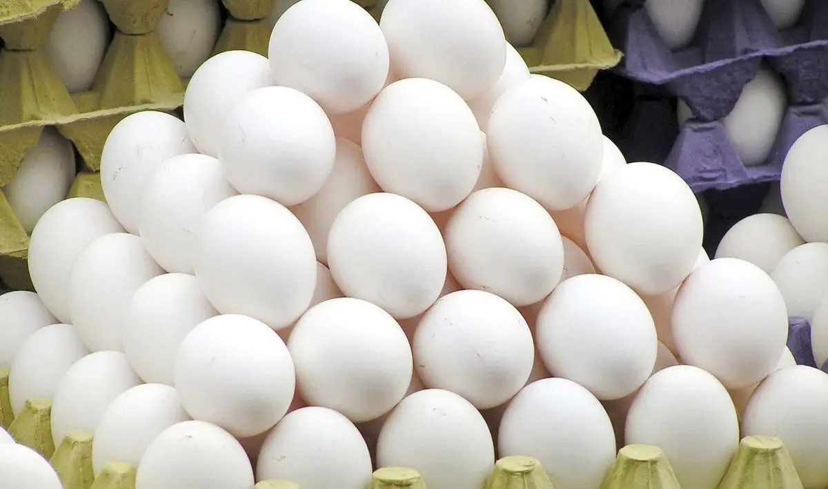 قیمت مصوب تخم مرغ تا پایان هفته اعلام می شود 