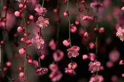 تحویل سال از دریچه علم نجوم