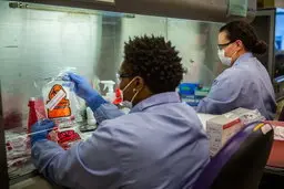 یافته‌های دلگرم‌کننده در بحبوحه شیوع کرونا و تاکید بر اقدامات ایمنی
