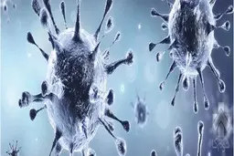 انواع تست کرونا در منزل و محل کار با قیمت مناسب