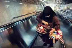 فروش پوست گوجه فرنگی جای زعفران مرغوب | گنجشک جای قناری قالب کردن تولیدکنندگان