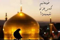 تجربه‌ای ناب از امید و ناامیدی در حرمِ ضامن آهو | دخترم! سلام مرا به امام رضا برسان!