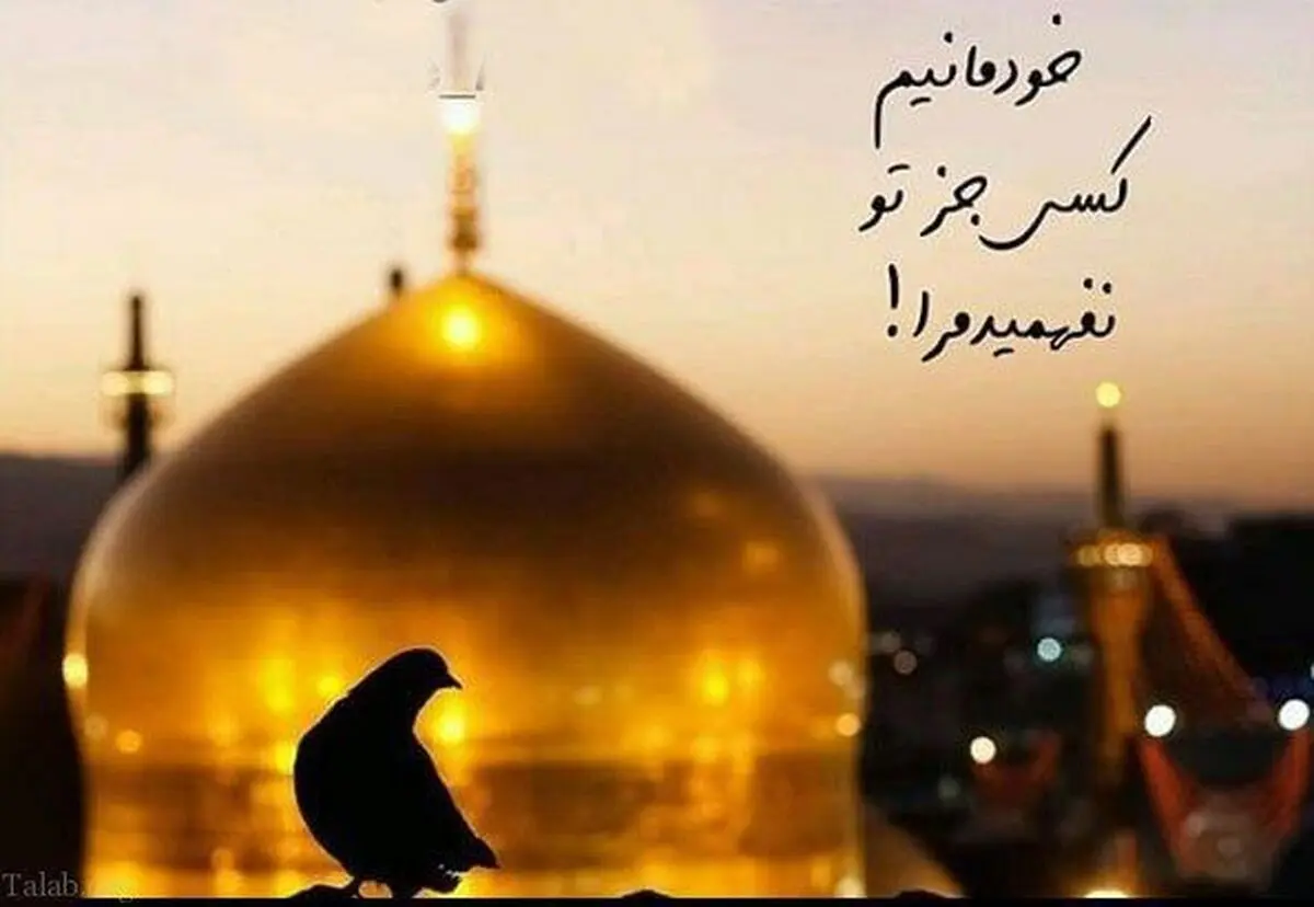تجربه‌ای ناب از امید و ناامیدی در حرمِ ضامن آهو | دخترم! سلام مرا به امام رضا برسان!