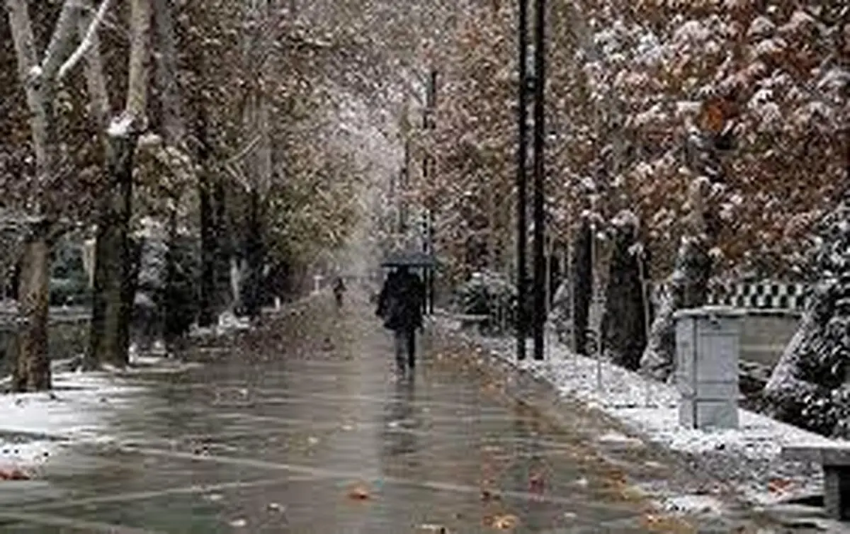 بارش برف و  باران و وزش باد شدید دربرخی از استان ها 