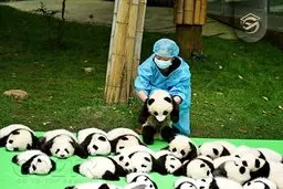 شغل‌های عجیب‌ و پول‌ساز جهان +عکس