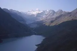 کشف یک موجود دریایی عجیب هوش از سر همه پراند+ عکس عجیب این حیوان