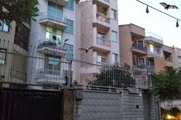 خفاش ها مهمان مردم تهران؟! | کوچ اجباری خفاش ها؛ این جانور خون‌آشام است؟+ ویدئو 