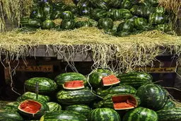 به دلیل ناسازگاری هندوانه‌های صادراتی برگشت !