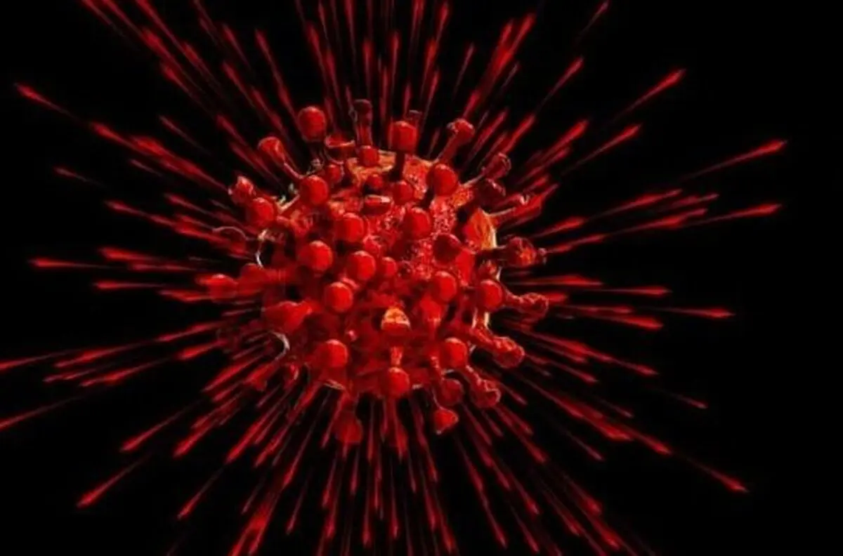 انجام تست PCR برای همه لازم است؟