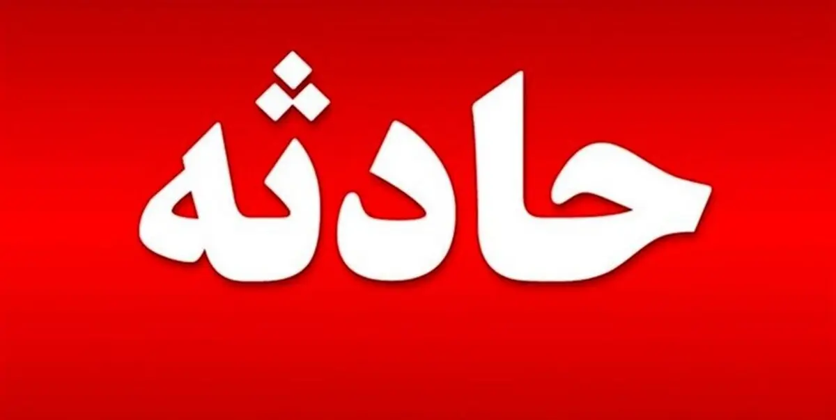 تصادف خودرو عبوری جان بچه خرس را گرفت | تلف شدن یک قلاده توله خرس قهوه‌ای در کنار جاده+ تصویر
