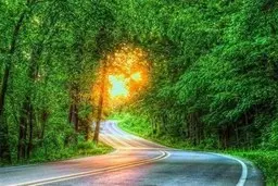 
سازمان جنگل‌ها: درِ تمام پارک‌های جنگلی ازجمله ۱۳۸ پارک جنگلی در شمال کشور، به دلیل کرونا بسته شد
