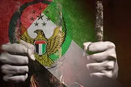 گزارشگر سازمان ملل  |  افراد بازداشت شده در امارات در معرض شکنجه مداوم هستند