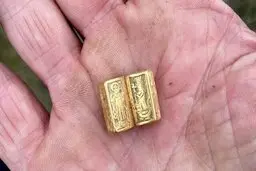  کشف یک انجیل طلایی کوچک +عکس