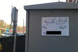  قیمت فروش کلیه افزایش پیدا کرد