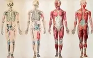 رازهای باور نکردنی در مورد بدن انسان | بعضی افراد خاص تر از بقیه هستند!