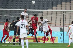 مشکل اصلی پرسپولیس «مدیریت» است