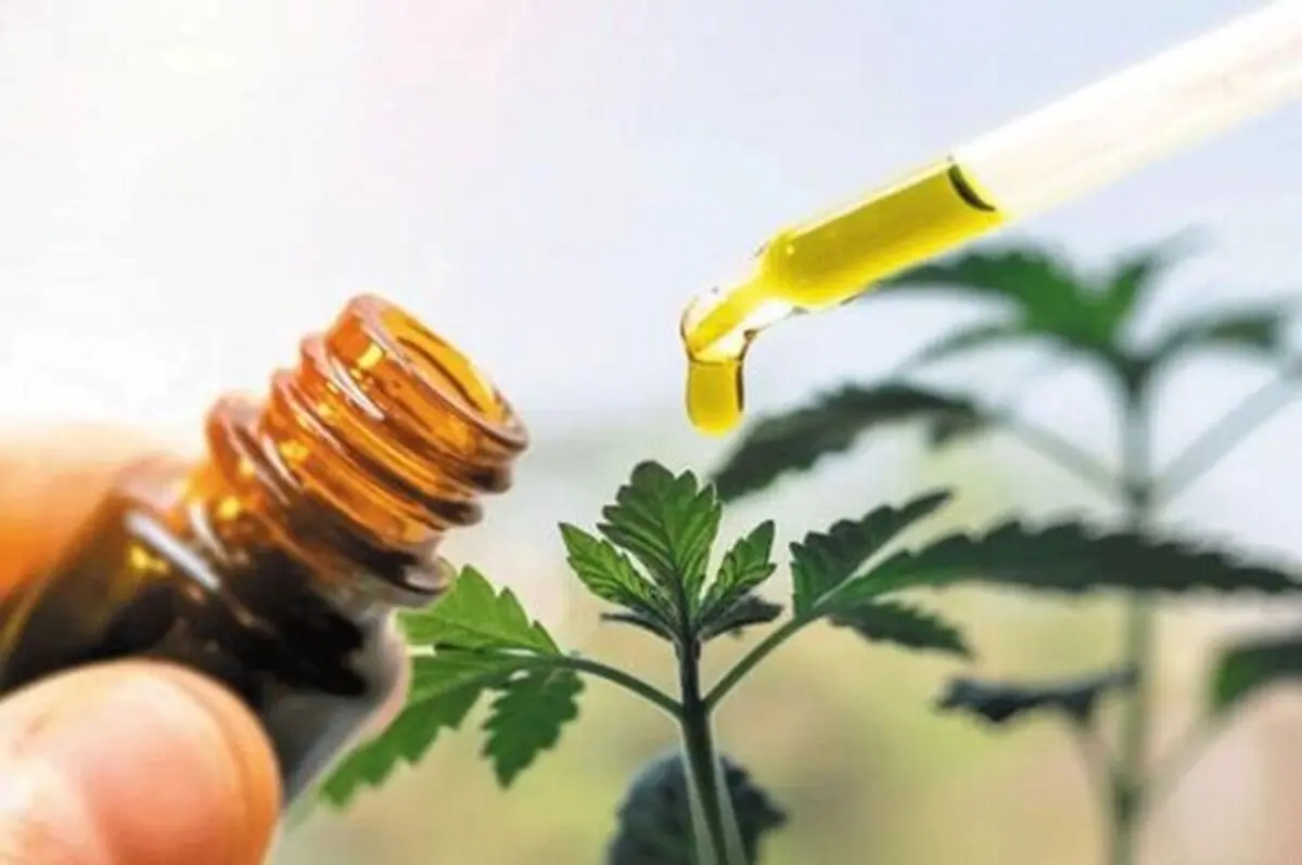 
 عوارض داروهای گیاهی ممکن است به قیمت جان شما تمام شود
